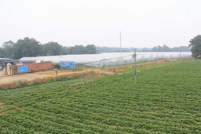 09.JPG